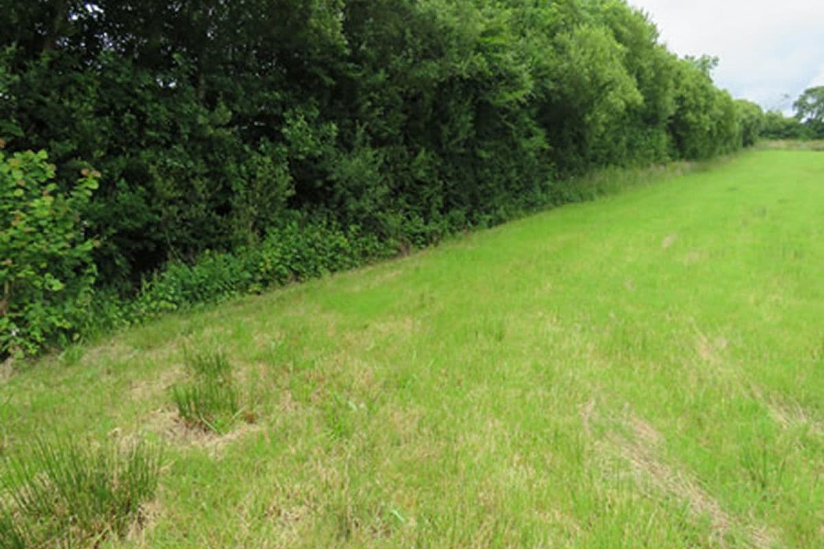 Plot of Land LOT 88