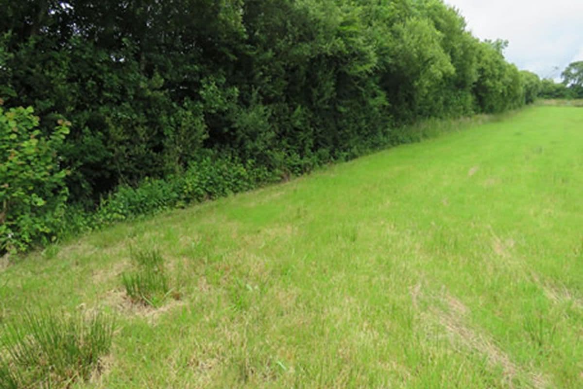 Plot of Land LOT 25