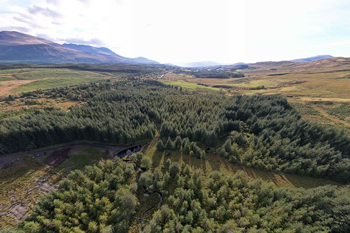 Plot of Land