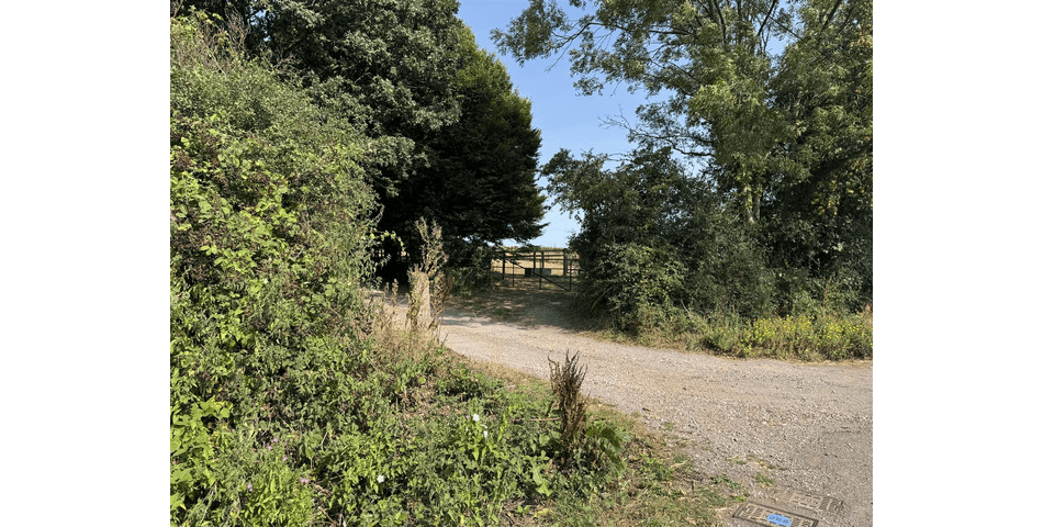 Paddock at Aller Cross - Nr Kentisbeare