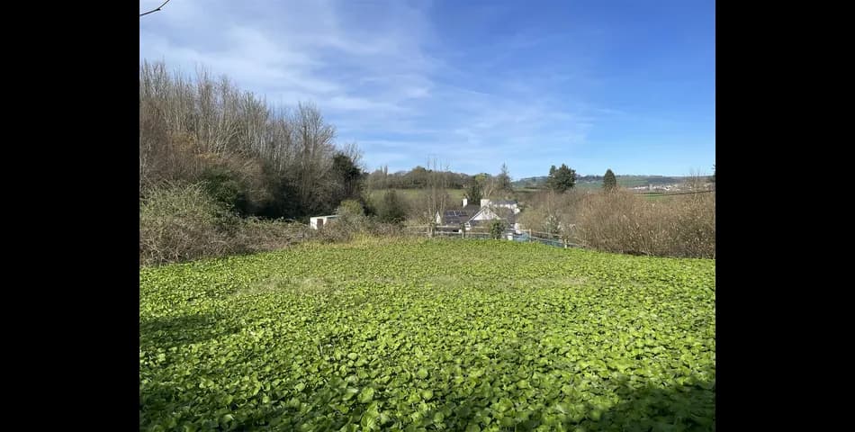 Land at Lake - Tawstock, Barnstaple