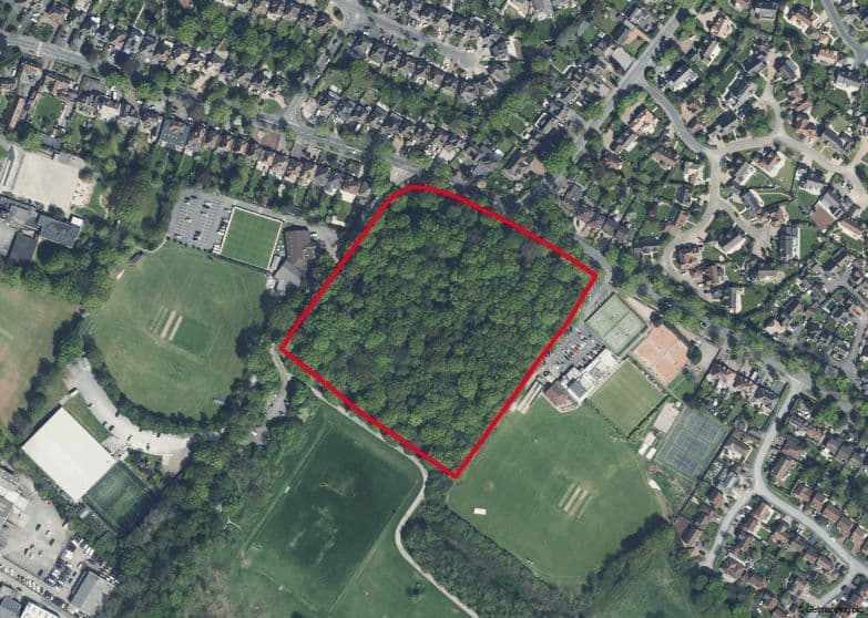 Freehold Woodland in Solihull