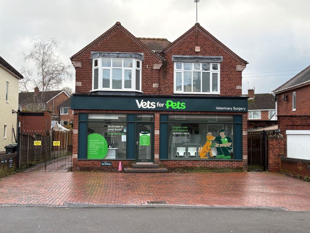 Freehold Detached Retail Investment Opportunity