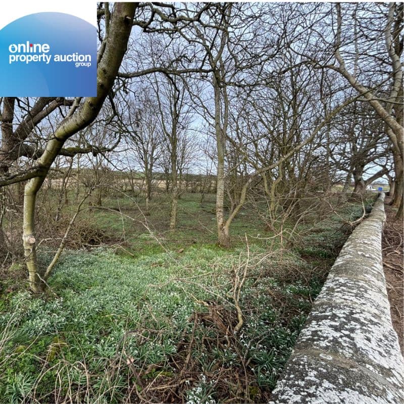 Tyrie Church Woodland, Fraserburgh