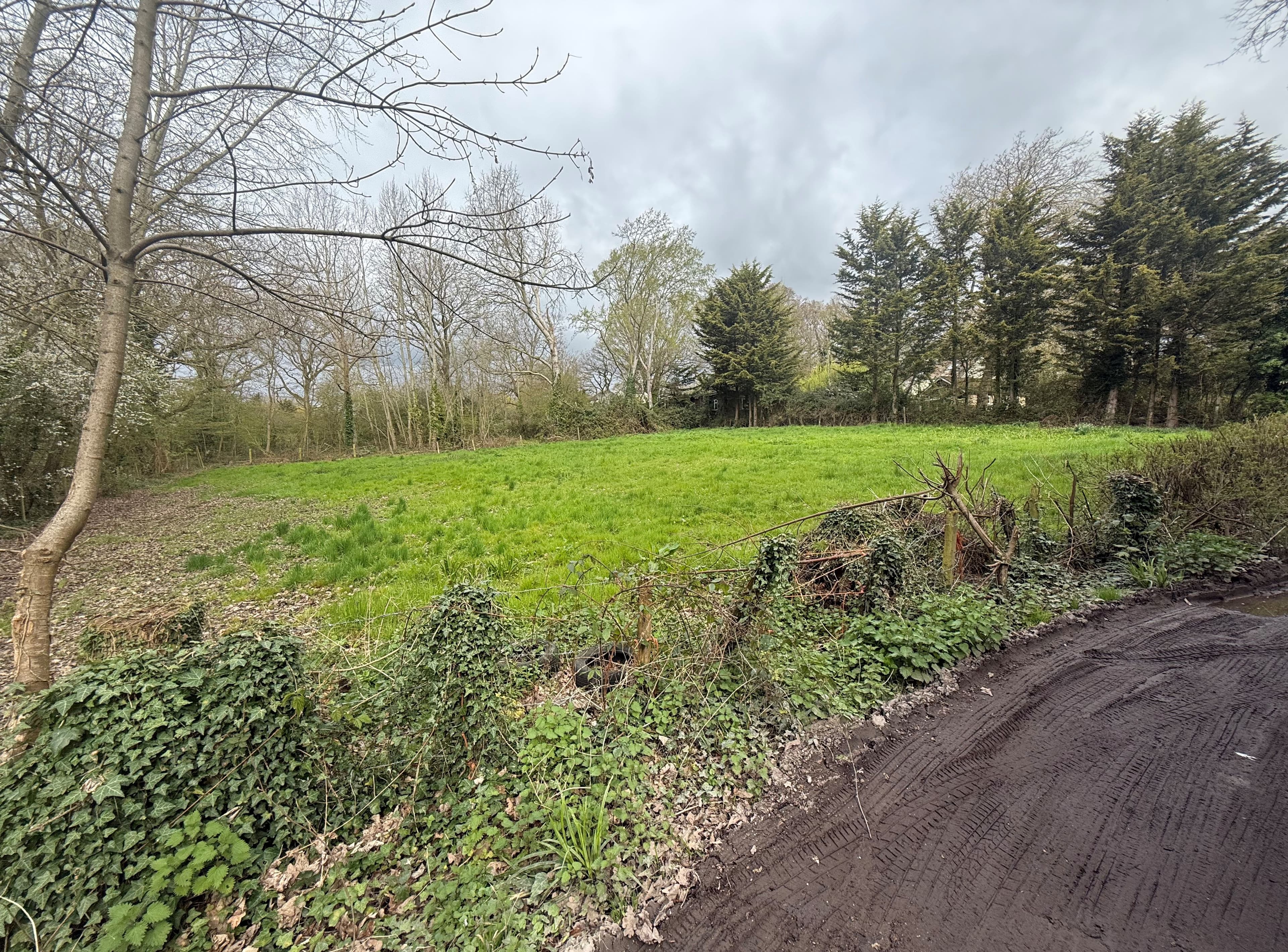 Freehold Parcel of Land with Development Potential