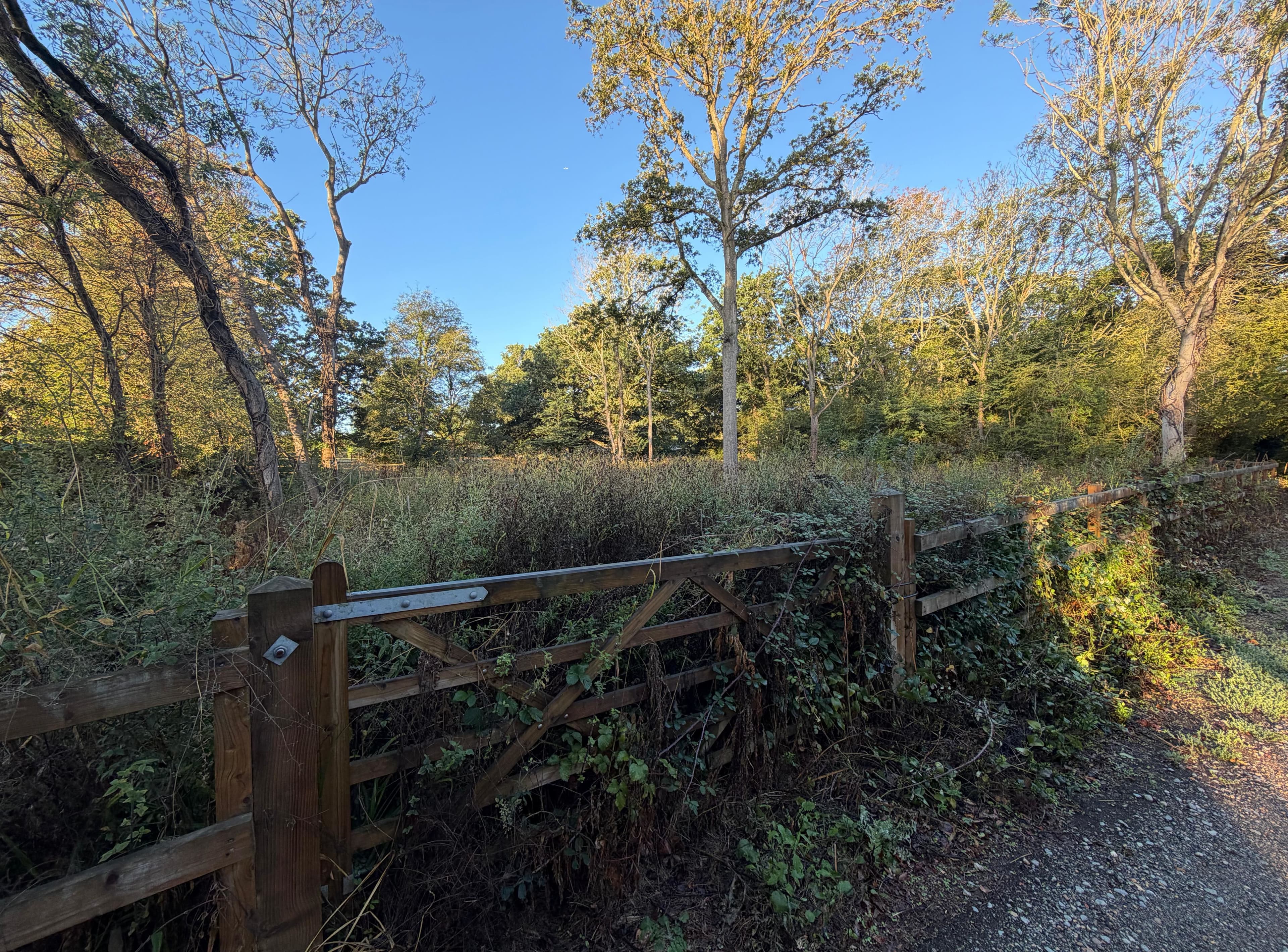 Land Adjacent 1, Disraeli Road