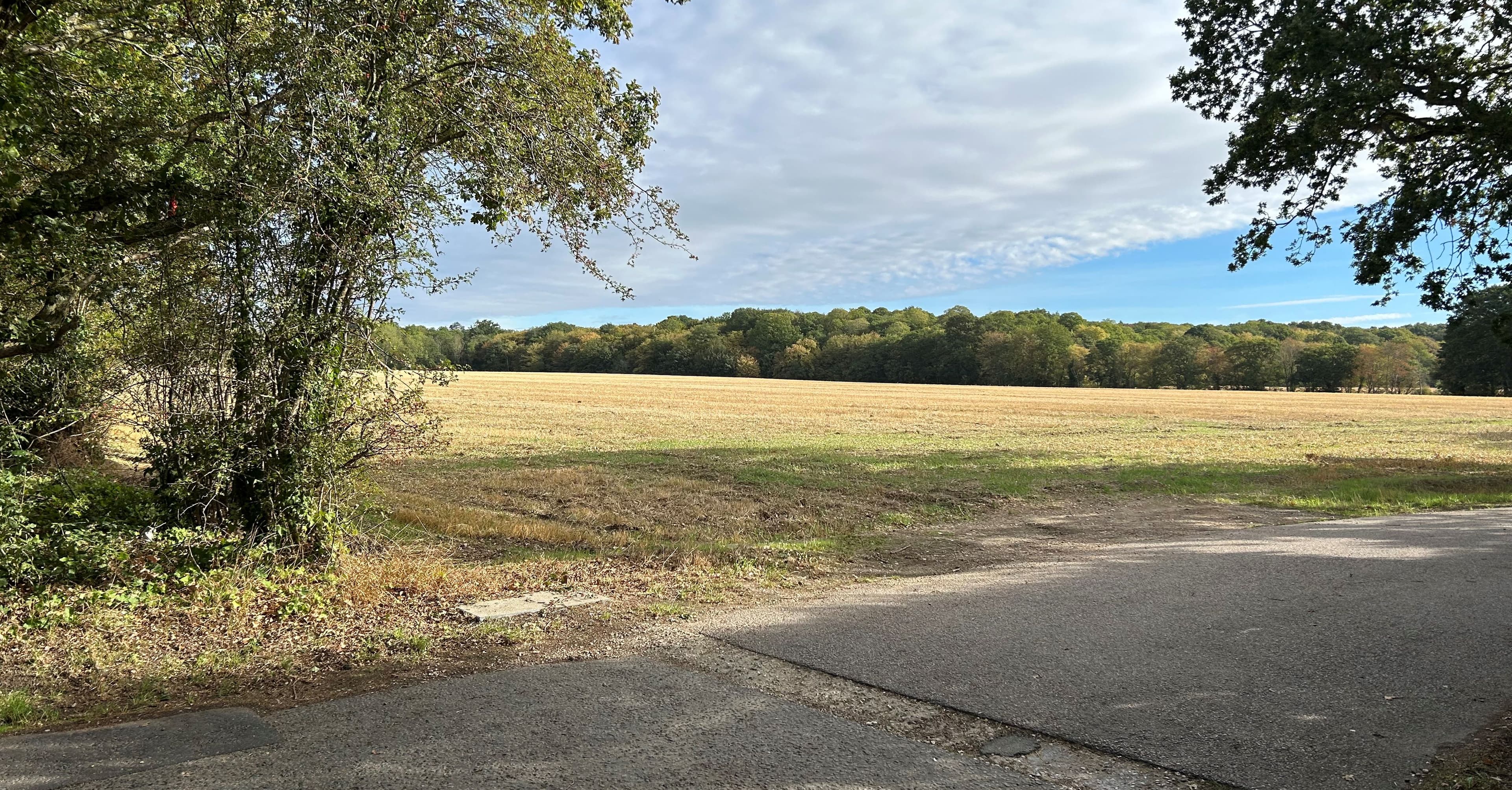 Land Investment in Woodham Mortimer