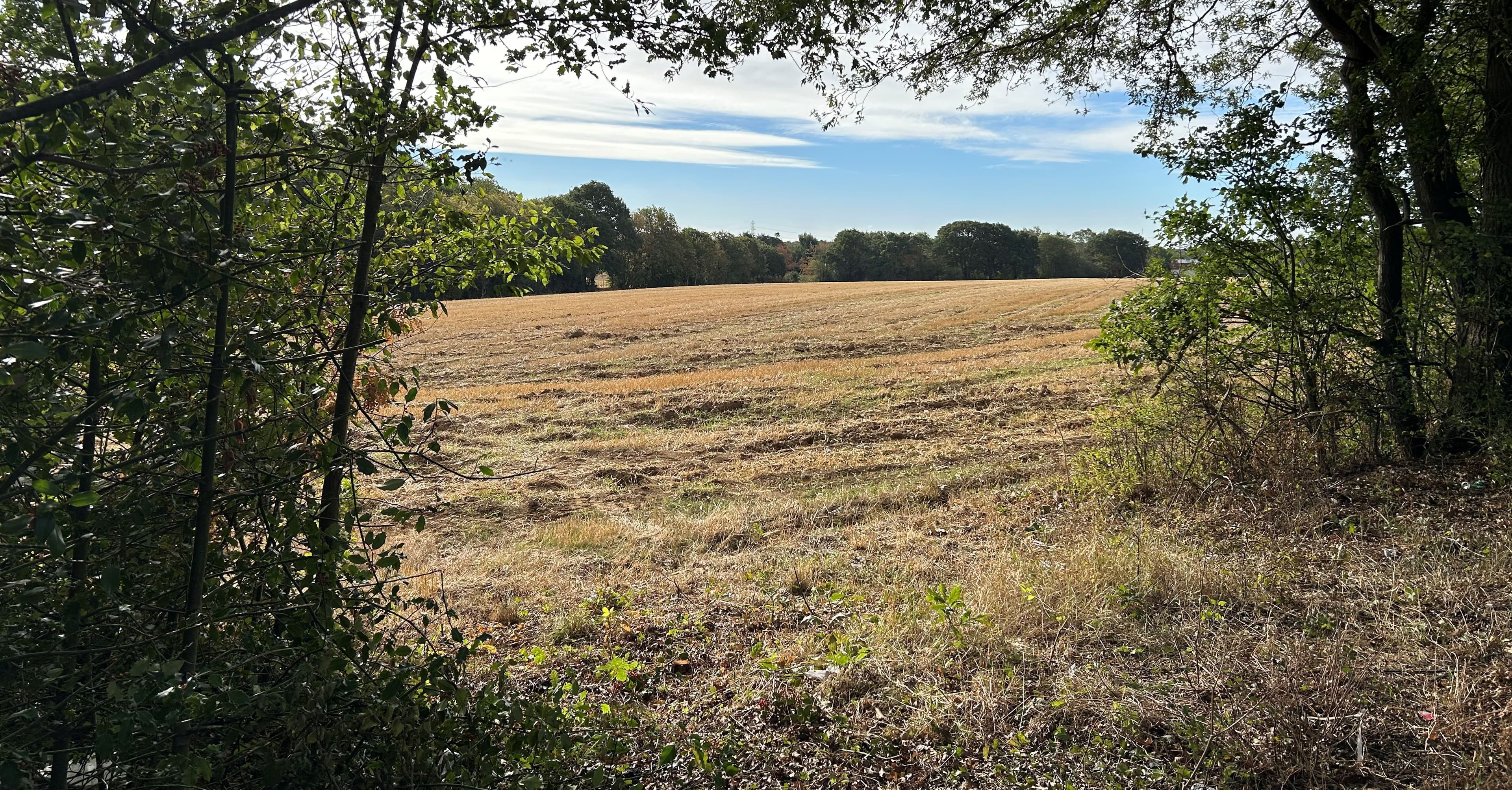 Freehold Arable Land Investment
