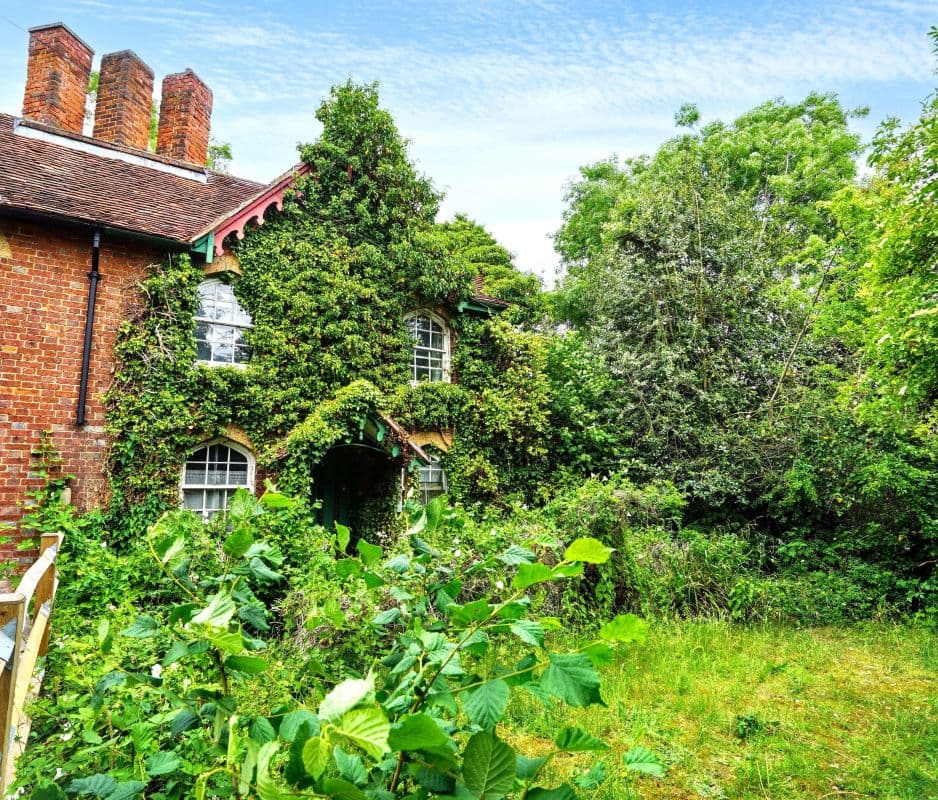 Freehold Semi-Detached House Vacant Possession