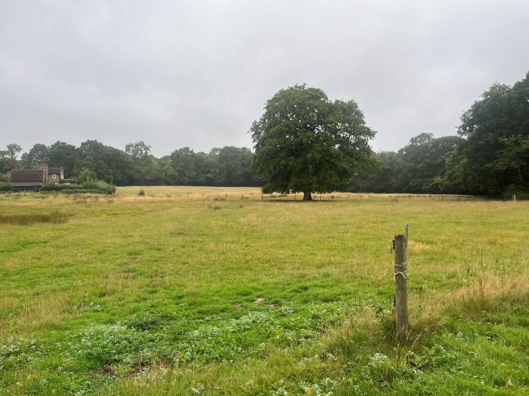 Land at rear of Picketts Meadow Farm