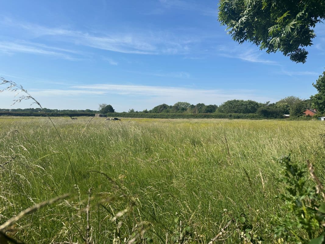 Prime Development Site with Planning Permission