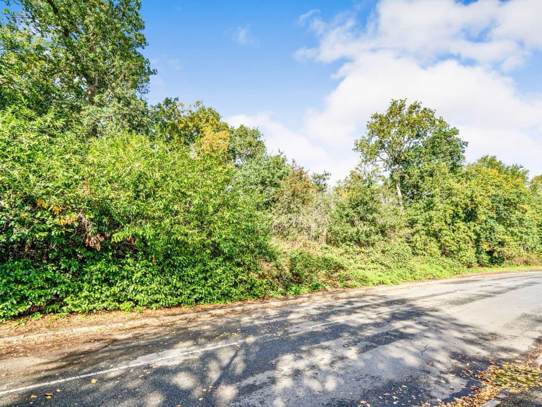 Plot of Land. Open Site for Viewings.