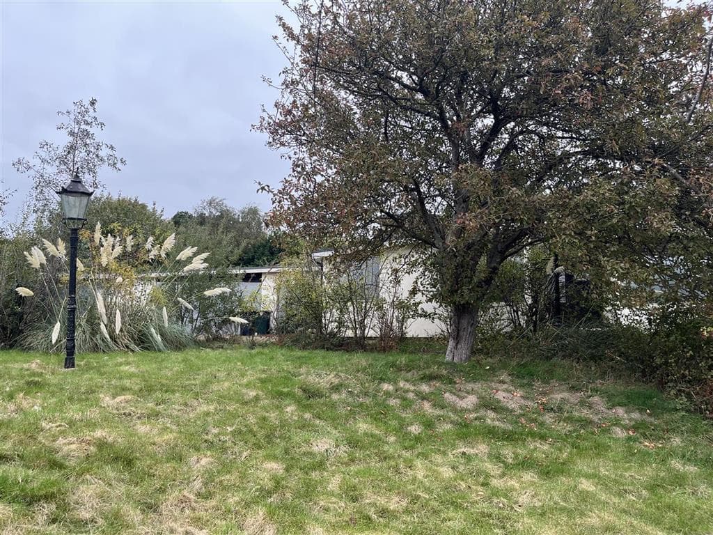 Freehold Detached Bungalow