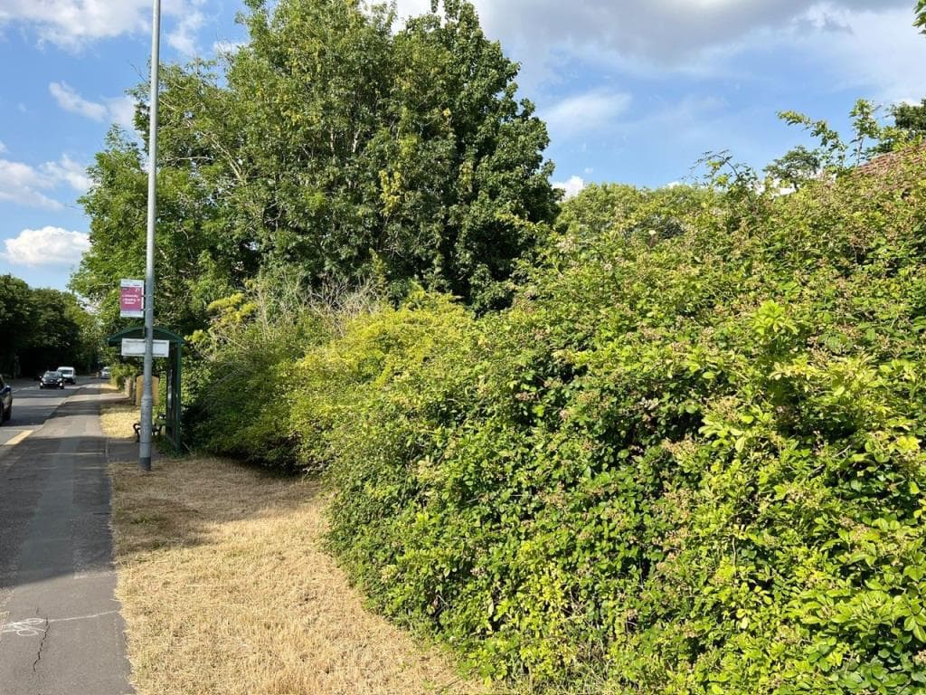 Lot 51 - Two Parcels Of Freehold Land