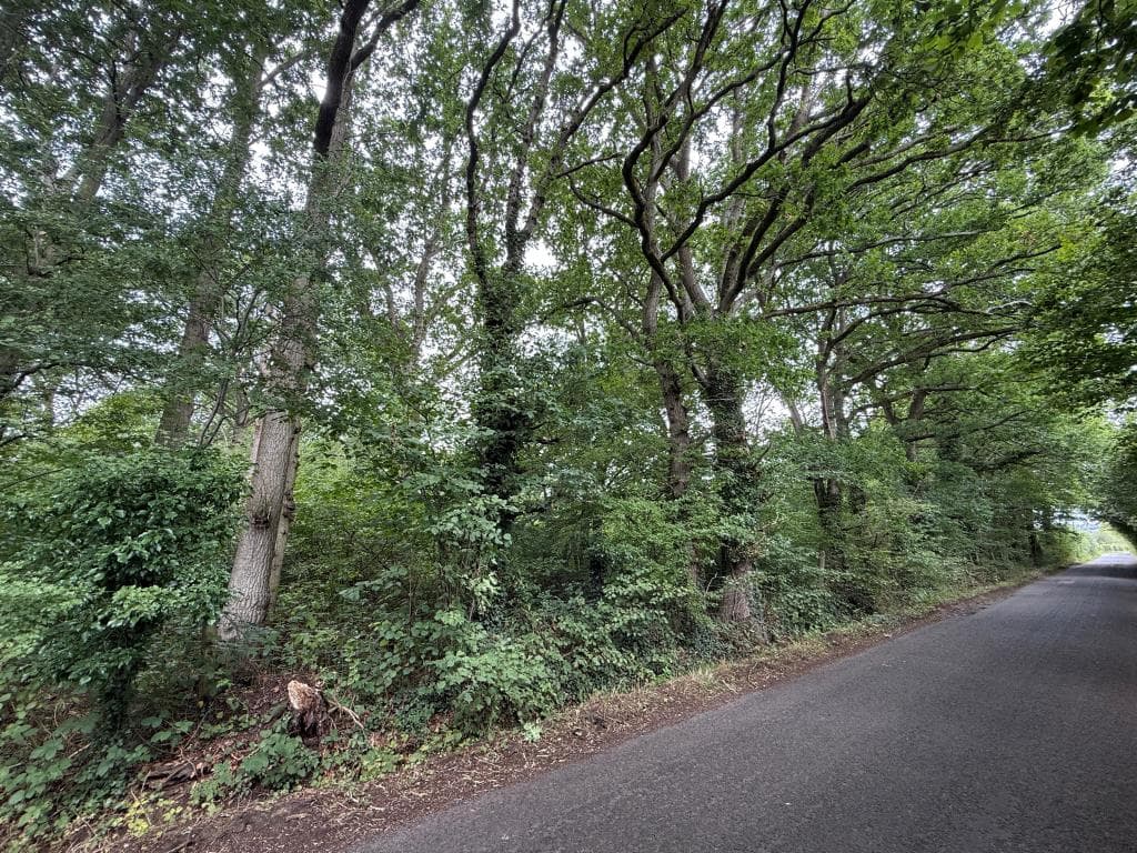 Lot 7 - Over 4.5 Acres Of Woodland