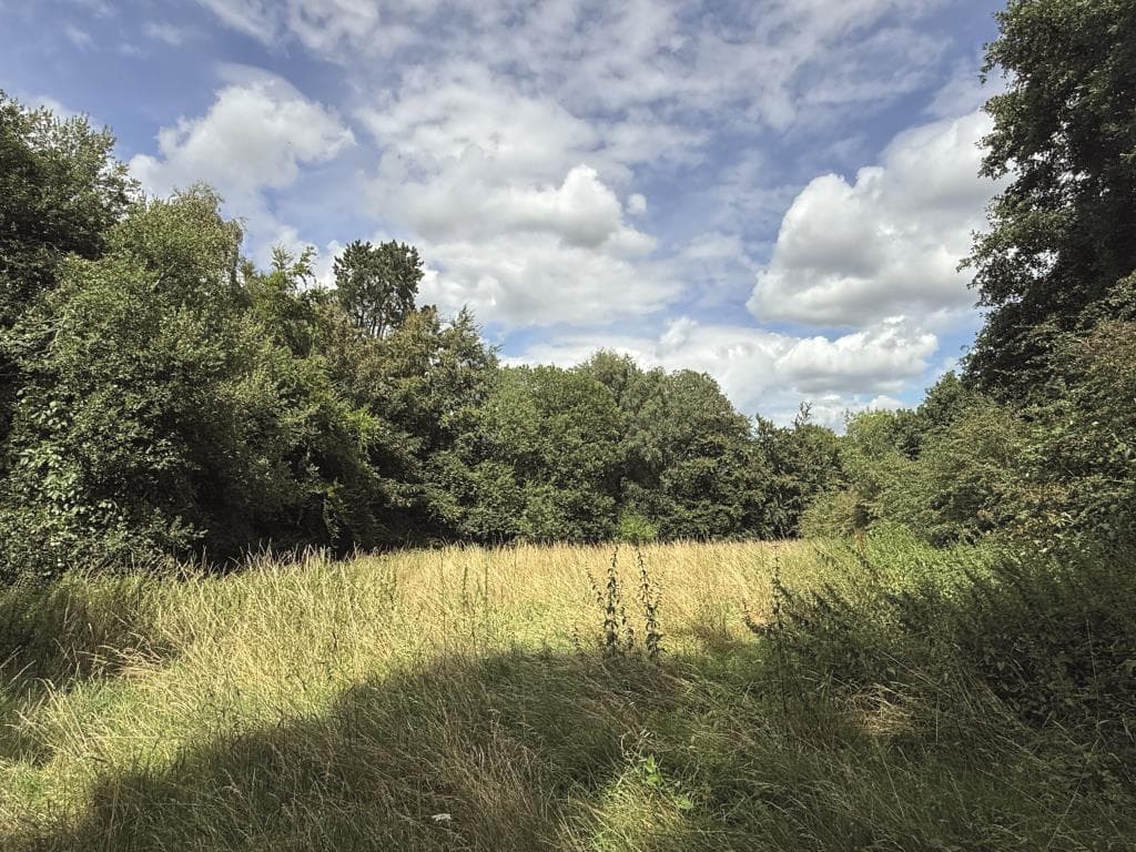 Lot 75 - Approximately One Acre Of Land