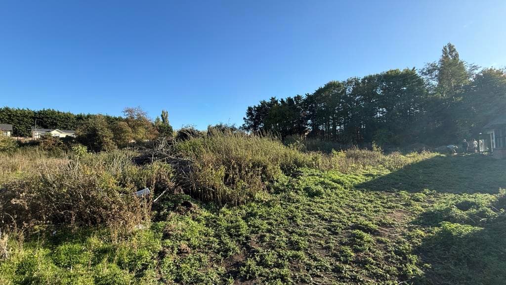 Section Of Land With Potential