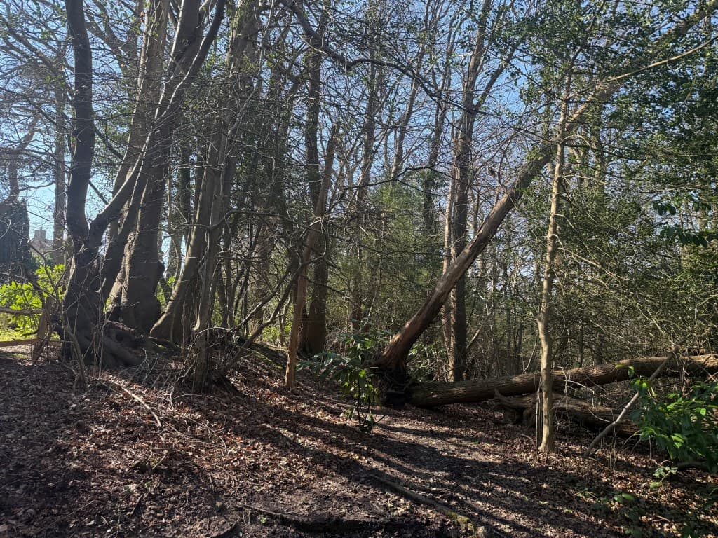 Lot 2 - Approximately 6.3 Acres Of Woodland