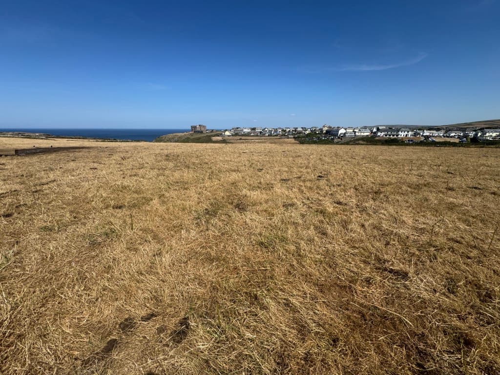 Freehold Land