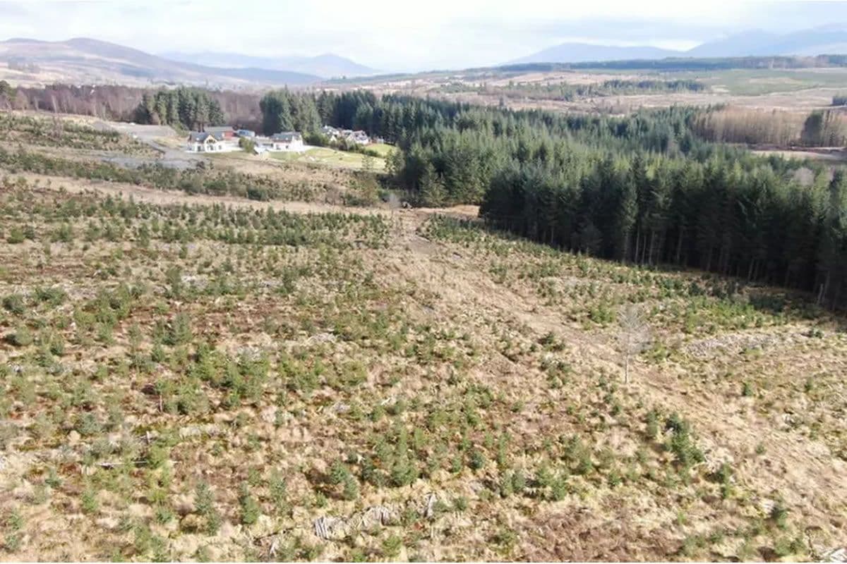 Plot of Land LOT 103