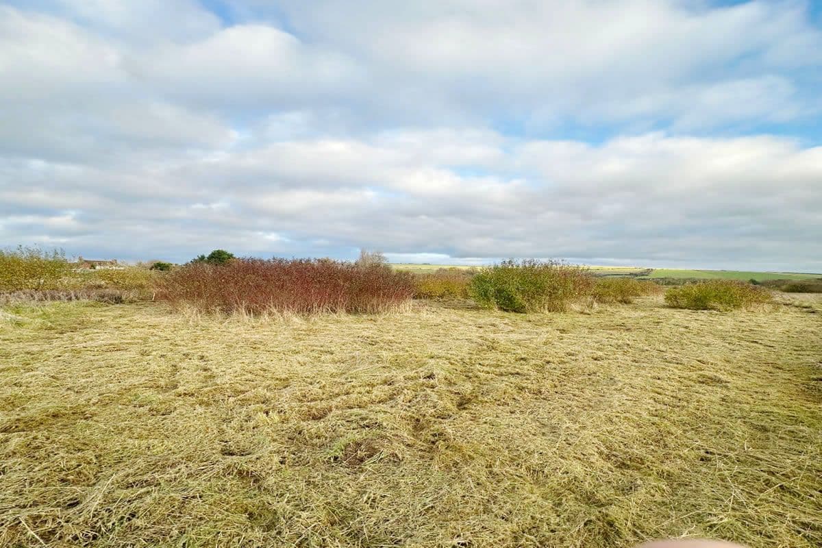 Plot of Land