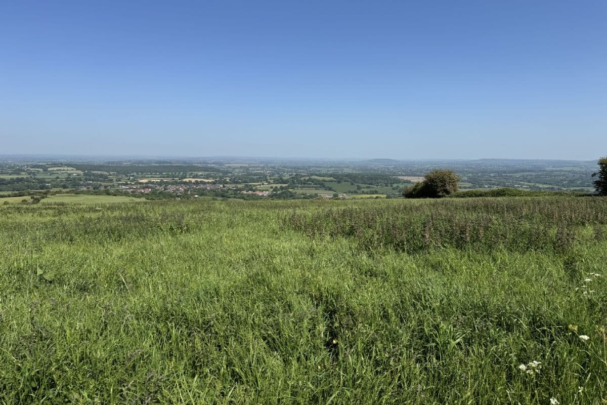 Plot of Land