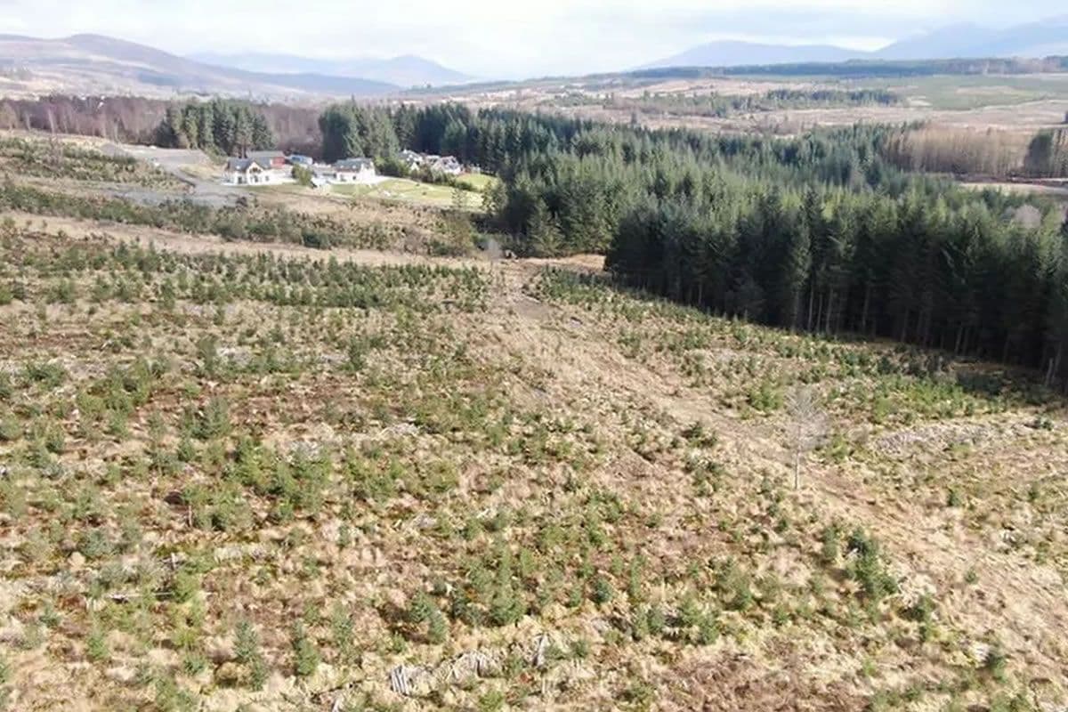 Plot of Land