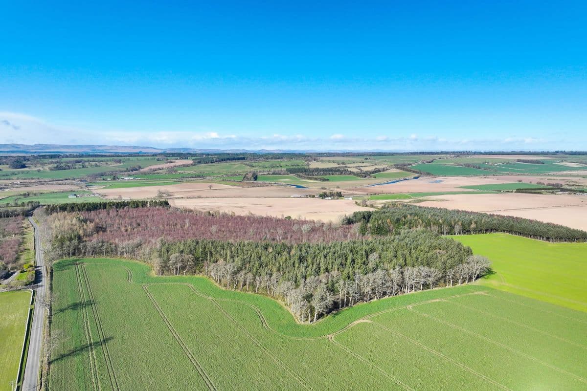 Plot of Land