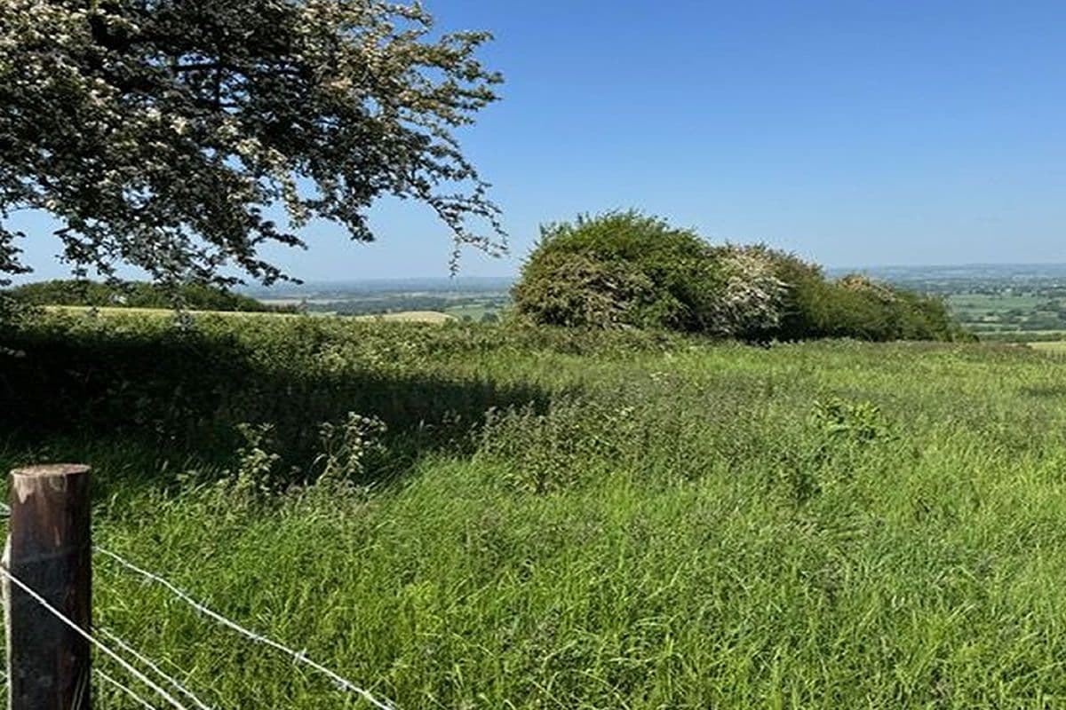 Plot of Land