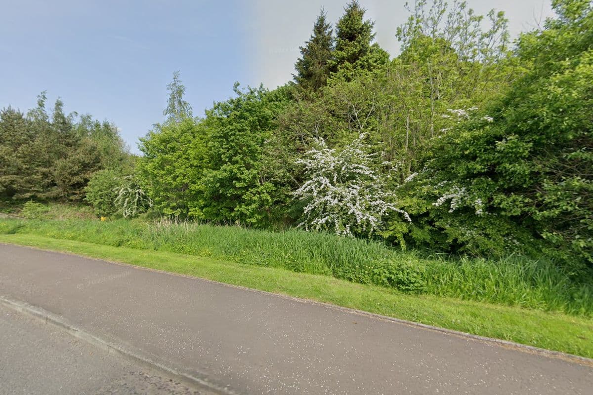 Freehold Amenity Land Parcel