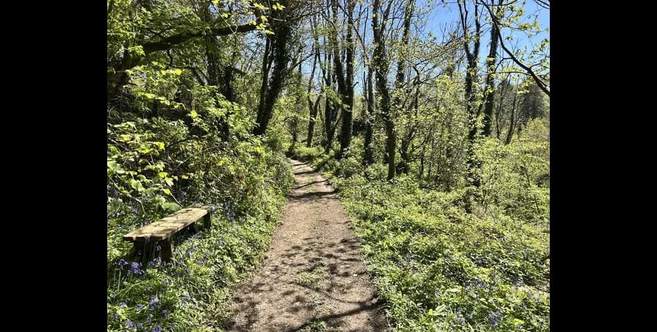Hawkers Wood Land at Penrose - Blisland