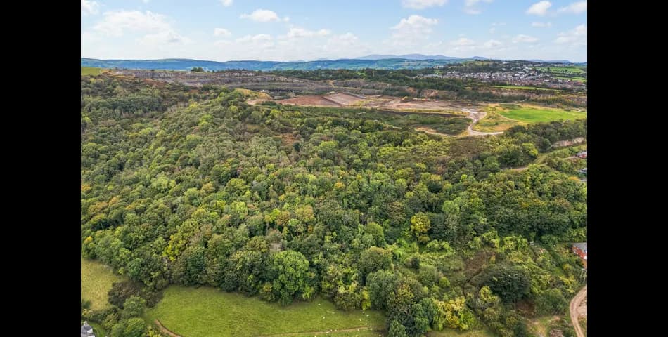 Substantial Mixed Broadleaf Woodland Plot