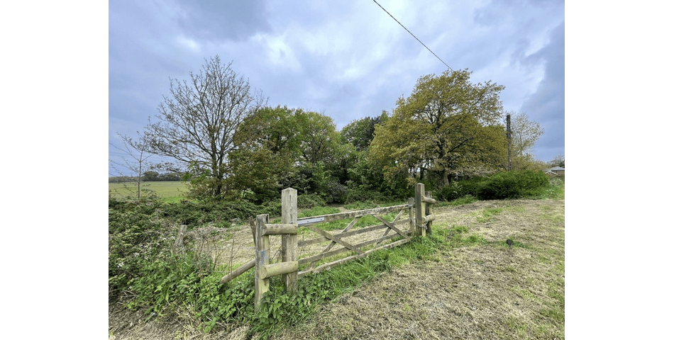 Pentagon Copse, Fawley