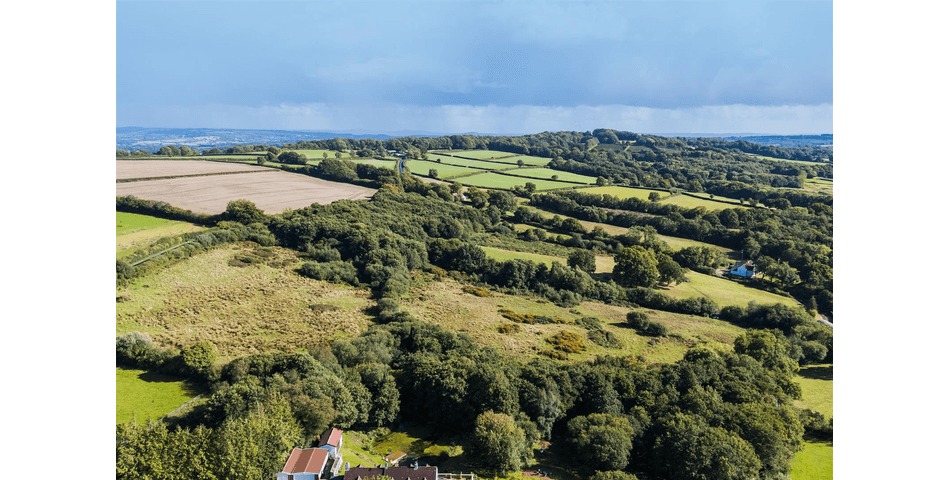 Blackwater Farm Buildings - Buckland St. Mary, Chard