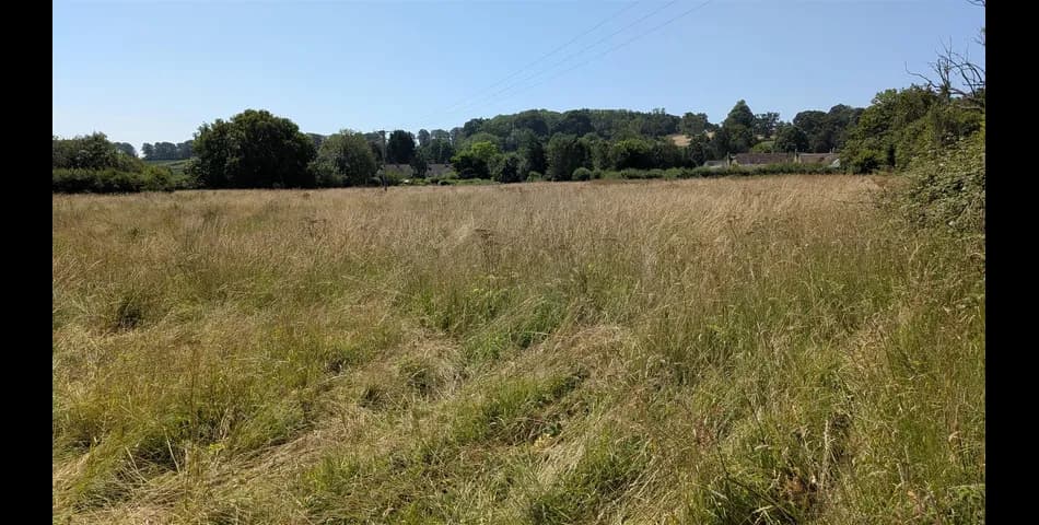 Freehold Grassland Paddock with Potential for Alternative Uses