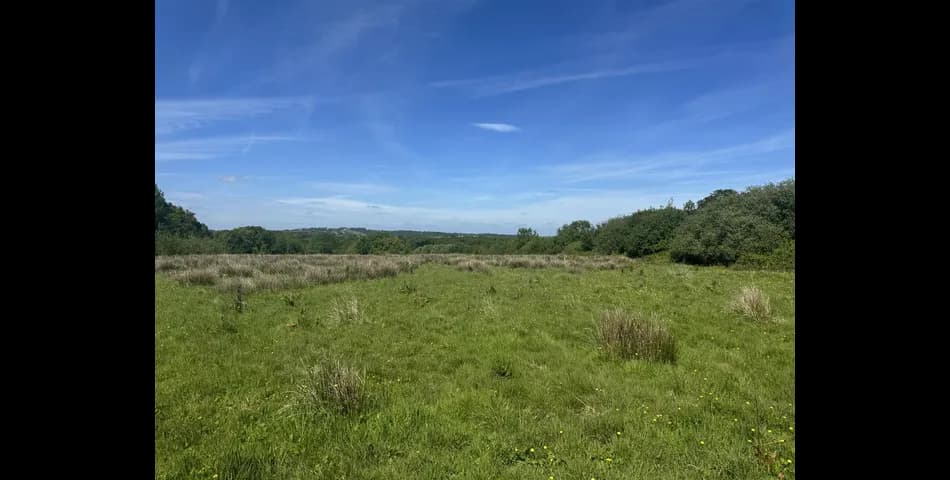 Land near Holstock Cross - Okehampton