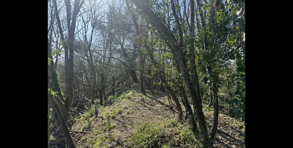 Land next to Budleigh Salterton Cricket Club - East Budleigh