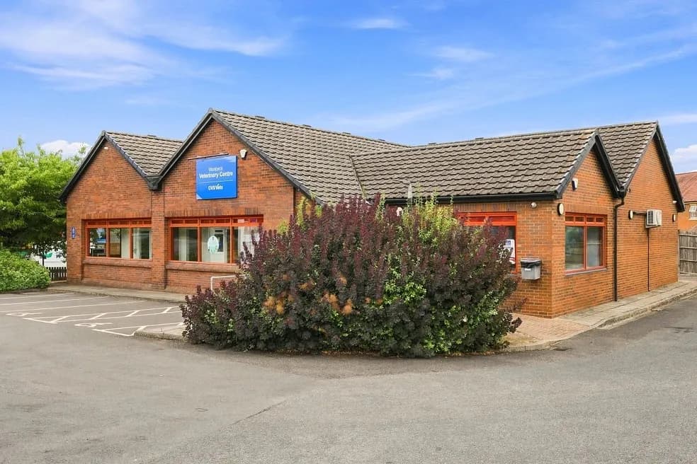 Freehold Commercial Investment with Future Development Potential