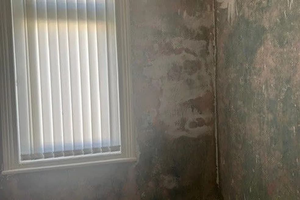 Tenanted Freehold Mid Terraced House