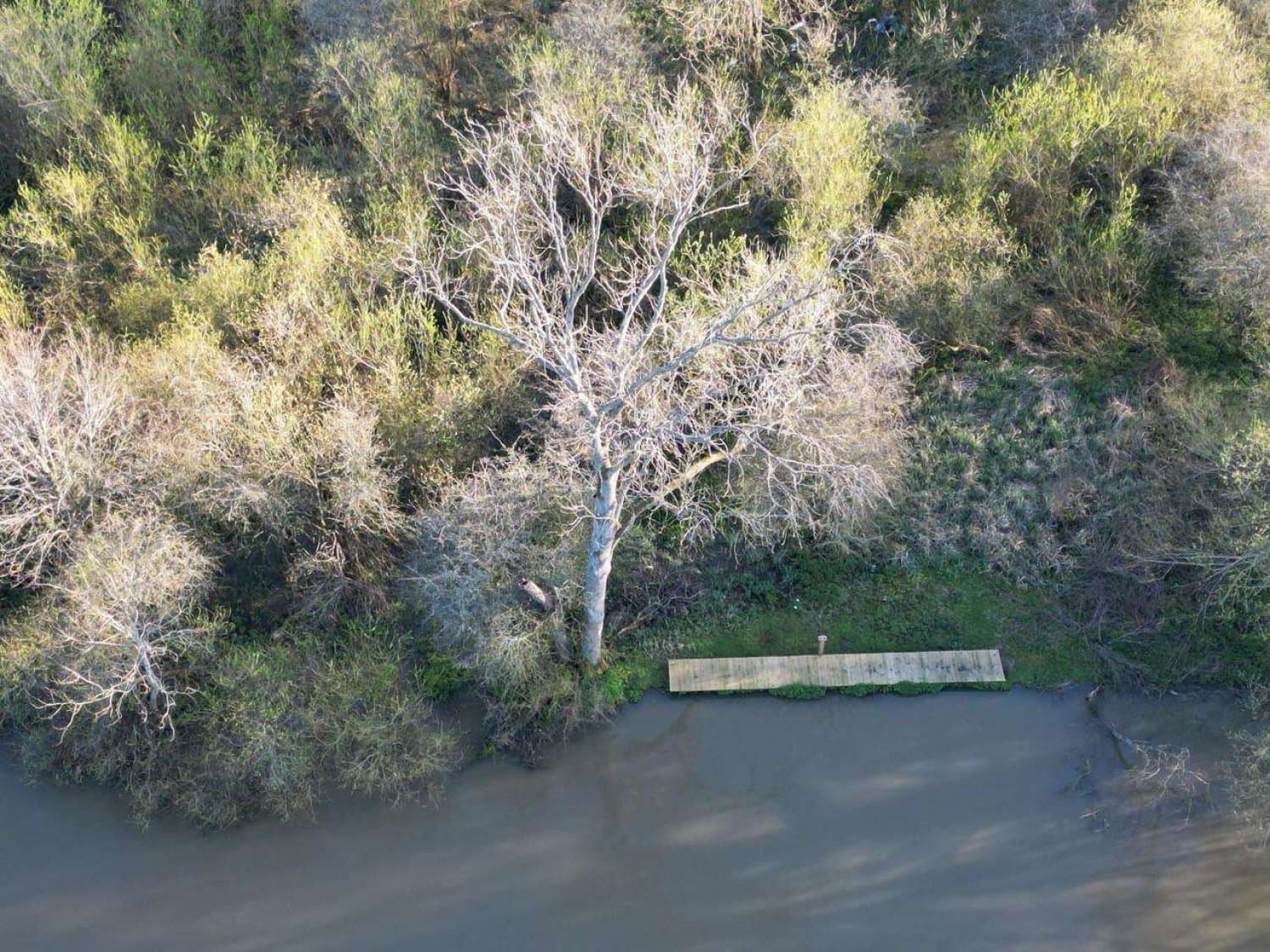 Freehold Island in the River Thames
