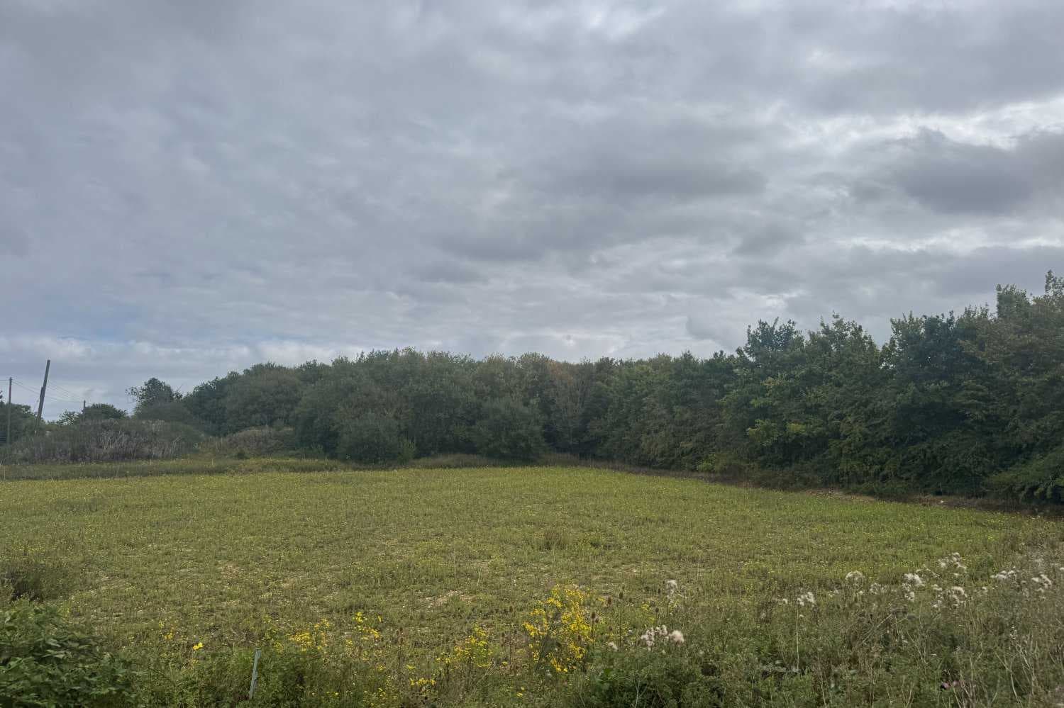 Land Between Station Garage and Railway Cottage