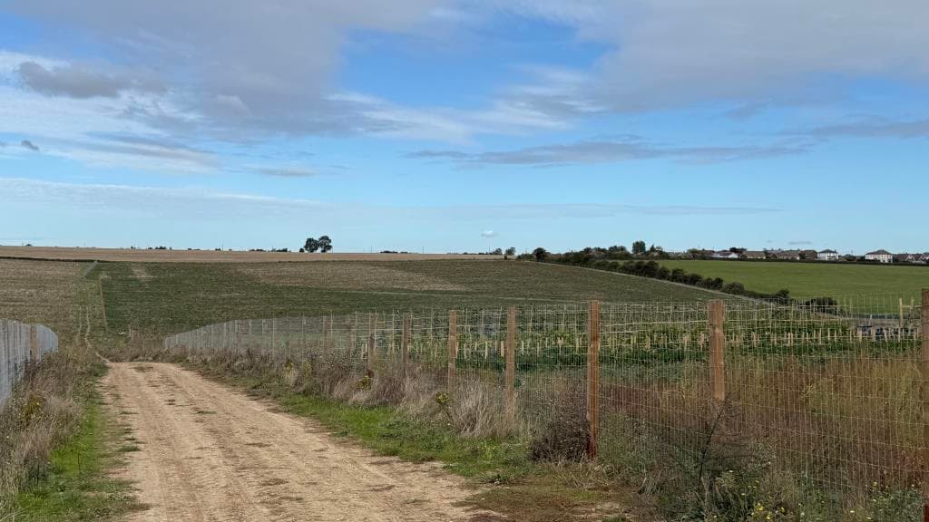 Land Extending To 15 Acres