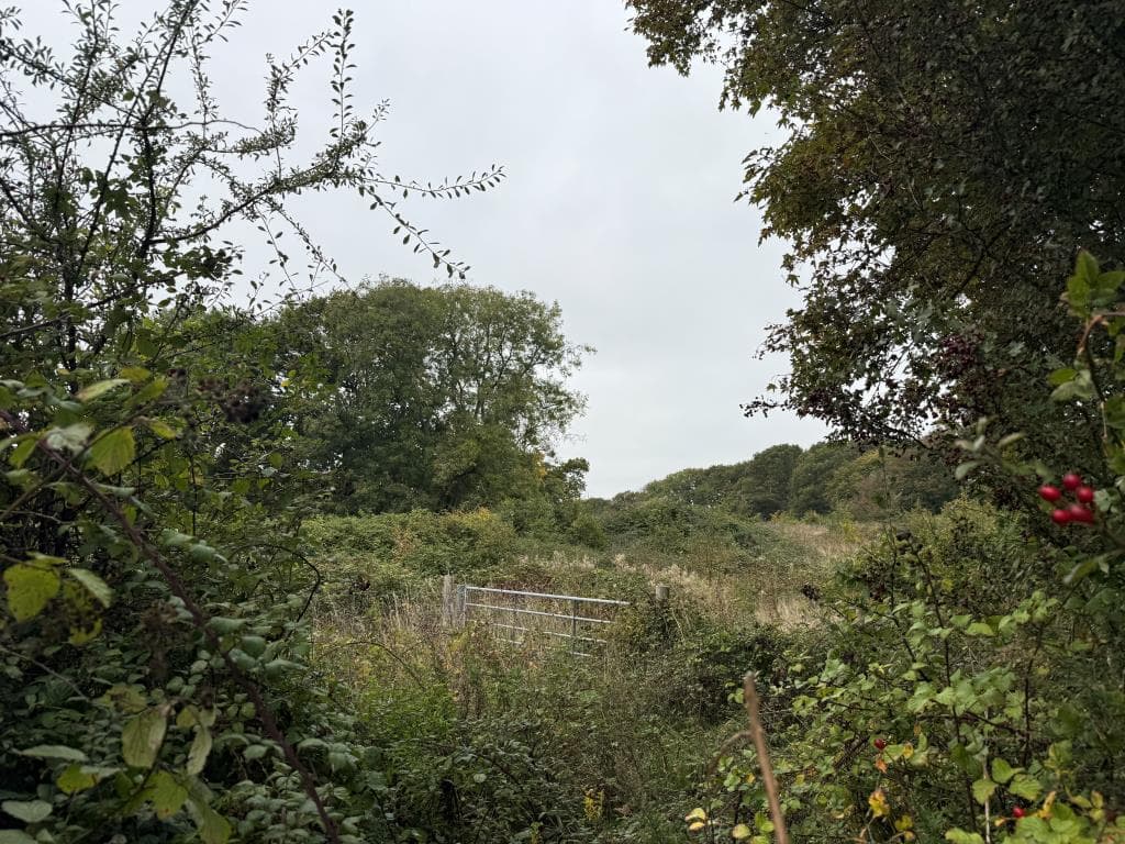 Lot 2 - Approximately 3.60 Acres Of Land