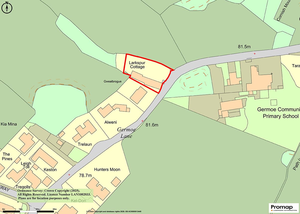 Thatched Deceptively Spacious Detached Cottage With Gardens And Parking