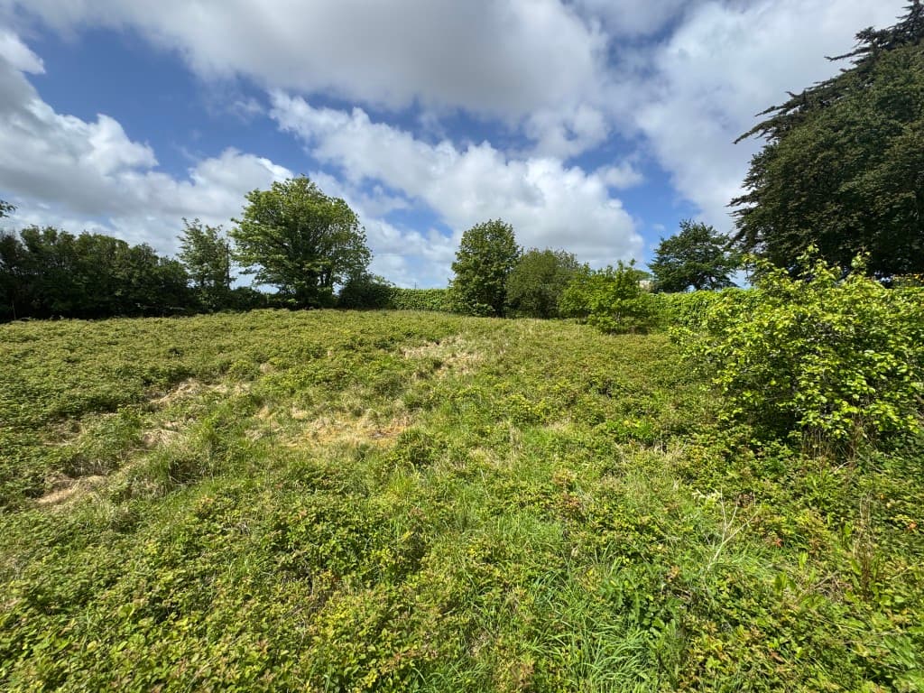 Land With Planning