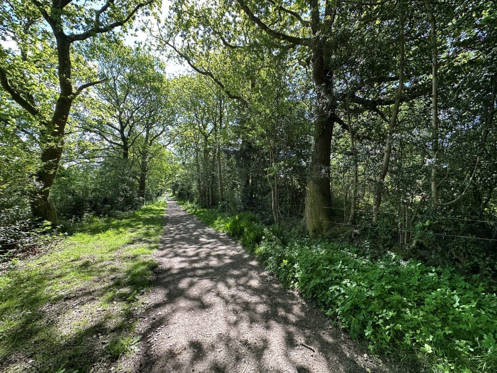 0.42 Acres Of Freehold Land In Hadlow Down