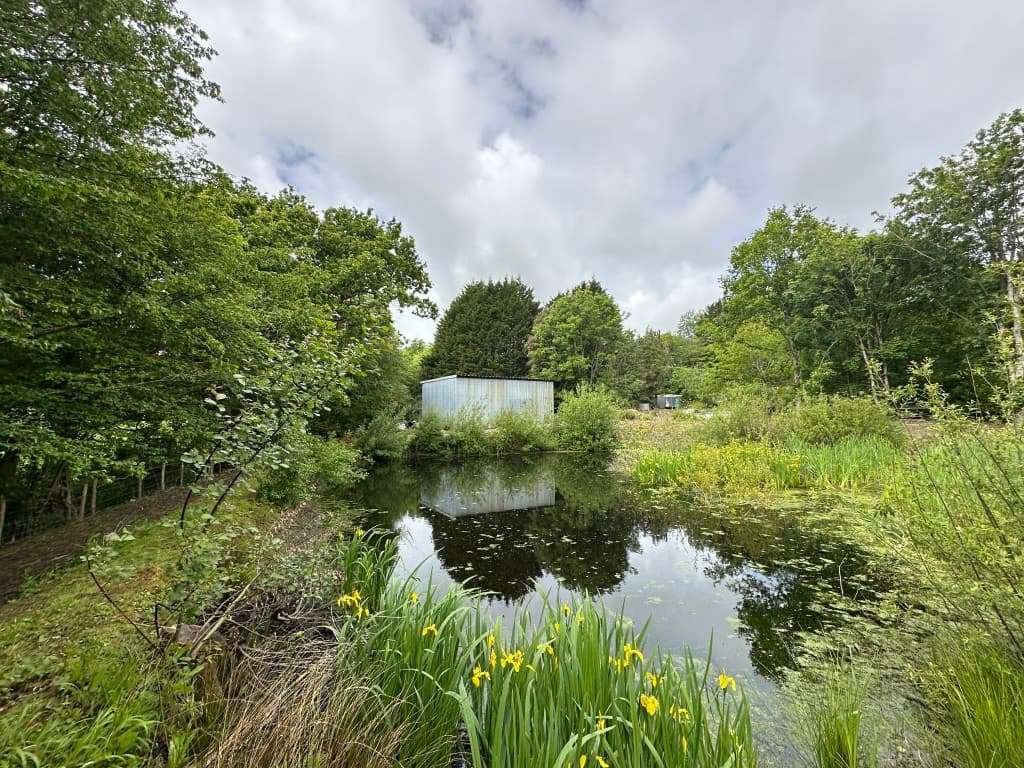 Tin Barn With Pond Set In Approximately One Acre