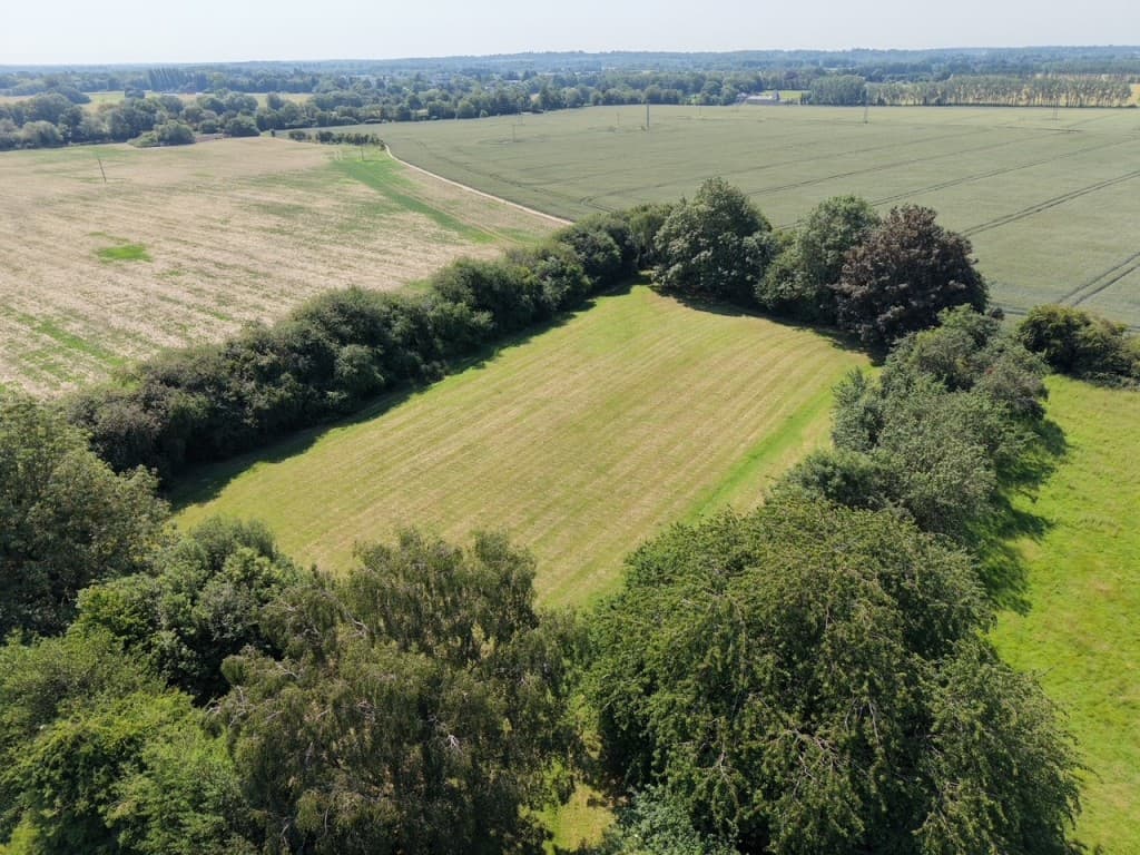 Freehold Land