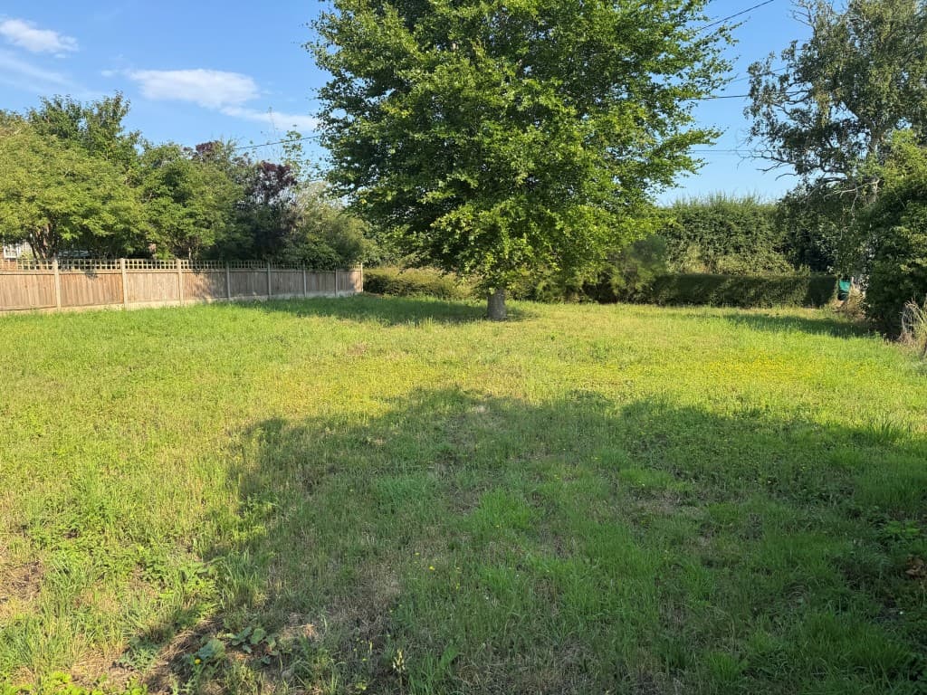 Freehold Site With Future Potential