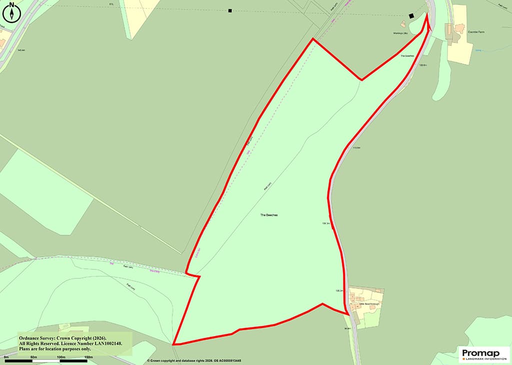 Almost 28 Acres Woodland